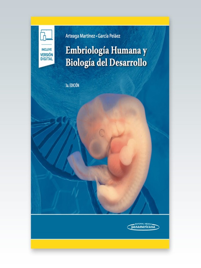 Lista 103+ Imagen embriologia humana y biologia del desarrollo arteaga martinez pdf Mirada tensa