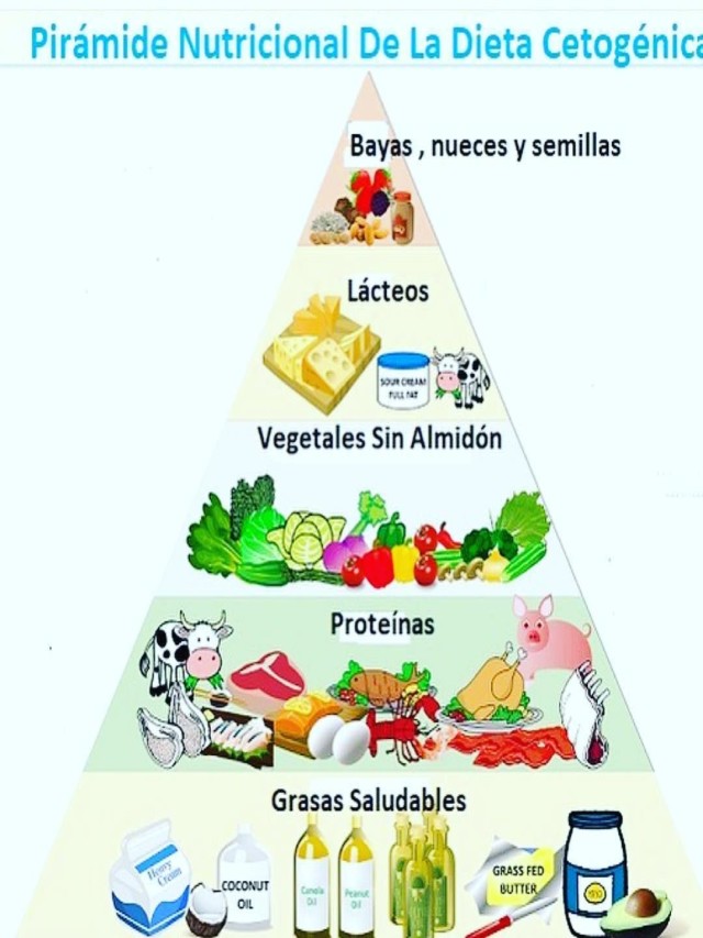 Sintético 102+ Imagen de fondo esquema de la pirámide alimenticia Mirada tensa