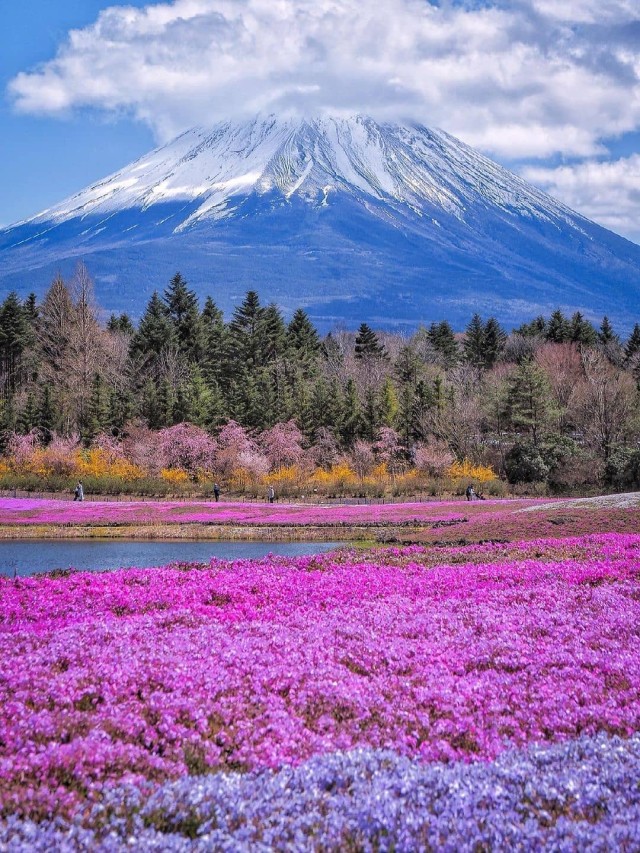 Top 93+ Background Images Yamanashi, Kouta Stunning
